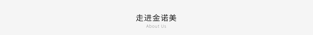 公司简介